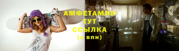 индика Балабаново