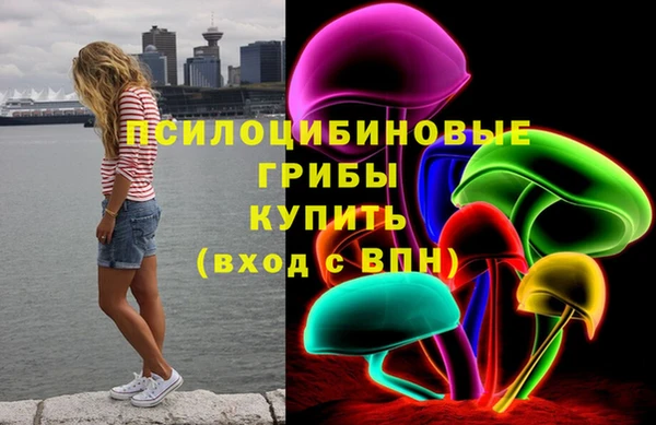 индика Балабаново