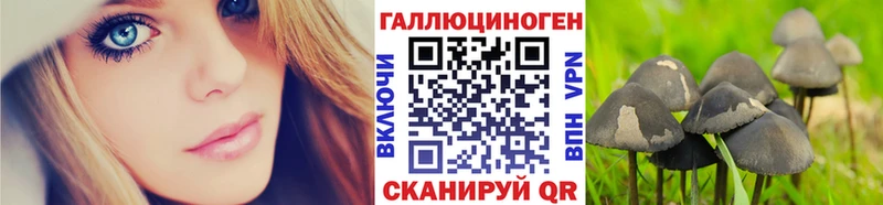 закладки  Озёры  Галлюциногенные грибы Magic Shrooms 